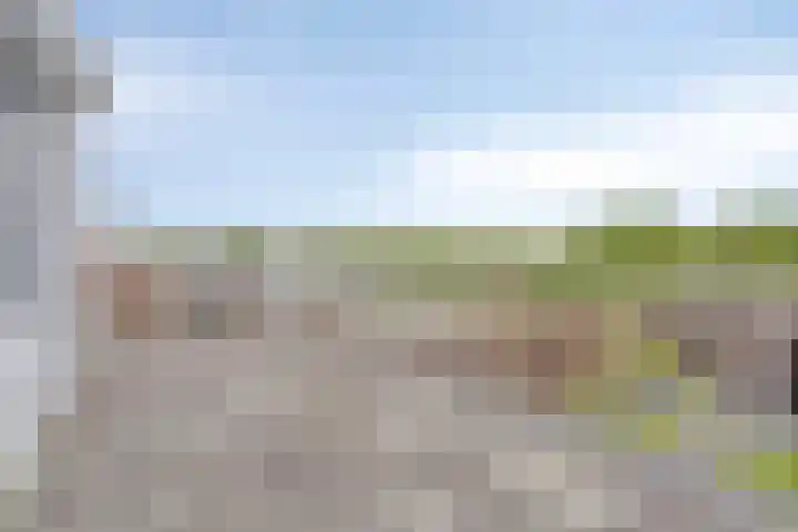 Oostweg 3 Kapelle thumbnail 37
