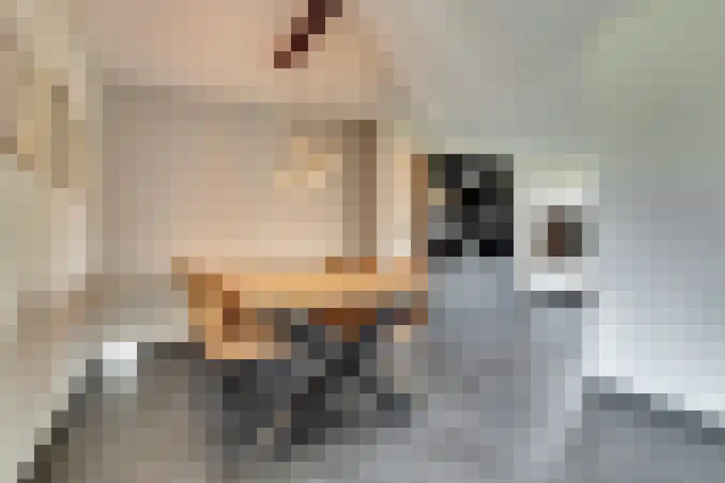 Oostweg 35 Krabbendijke thumbnail 13