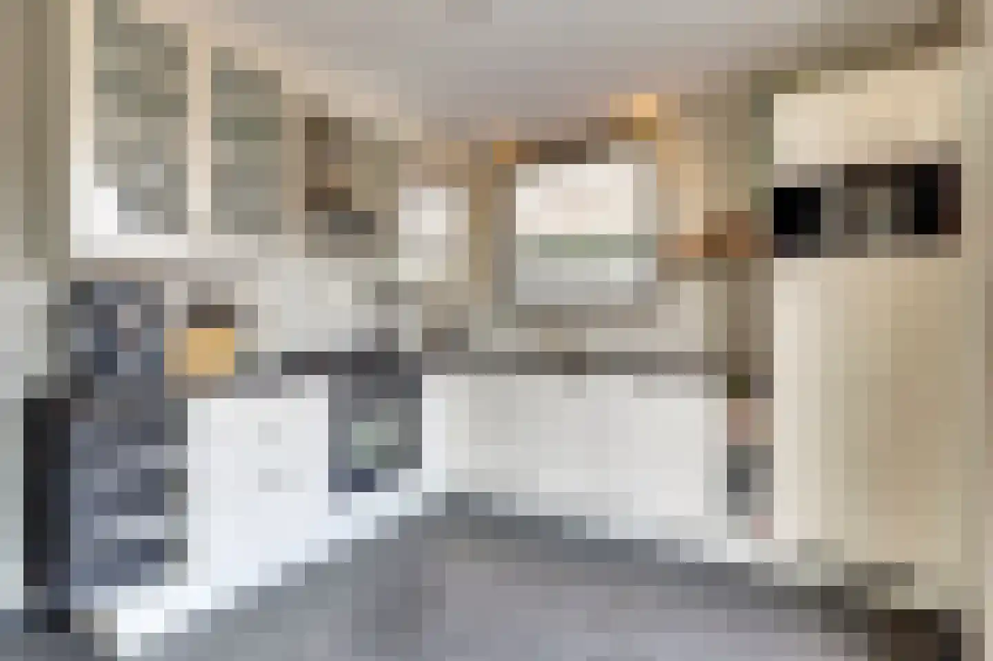 Oostweg 35 Krabbendijke thumbnail 15
