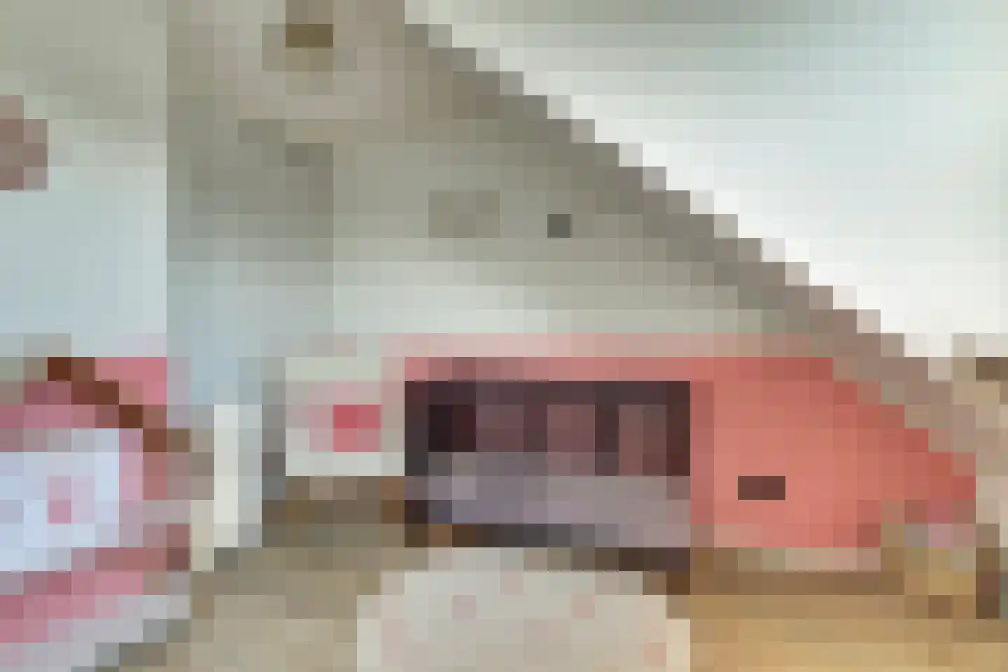 Oostweg 35 Krabbendijke thumbnail 26