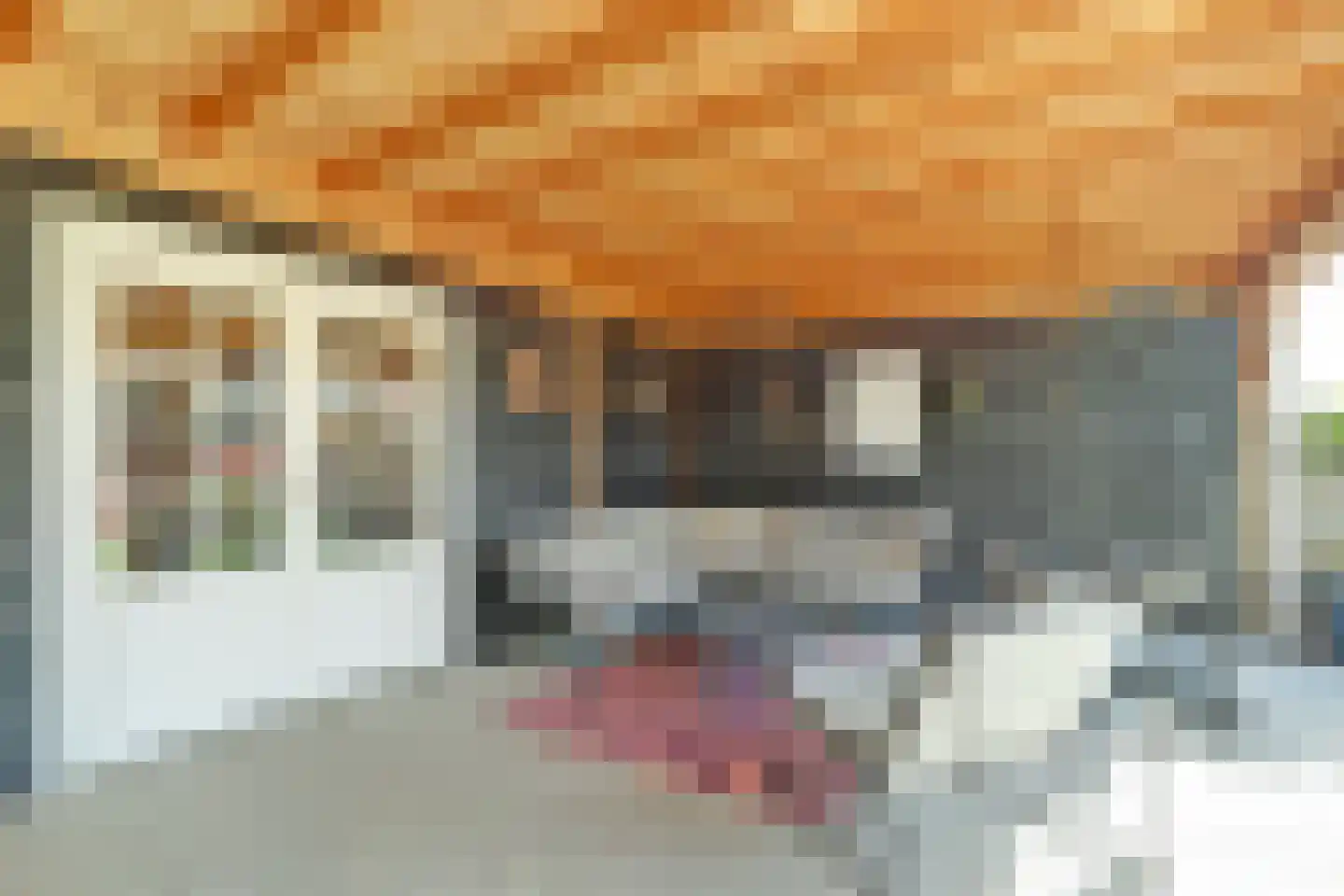 Oostweg 35 Krabbendijke thumbnail 33