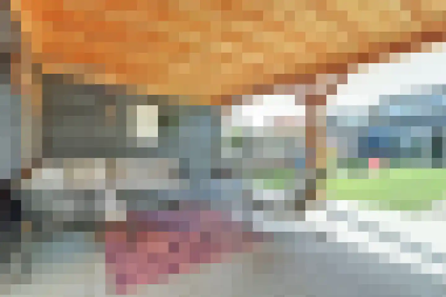 Oostweg 35 Krabbendijke thumbnail 36