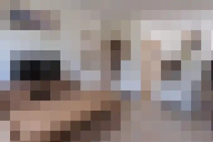 Oostweg 68 Krabbendijke thumbnail 12
