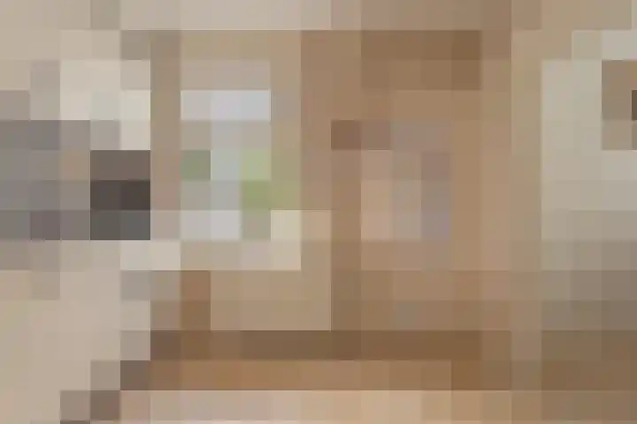Oostweg 68 Krabbendijke thumbnail 15