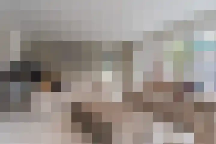 Oostweg 68 Krabbendijke thumbnail 18