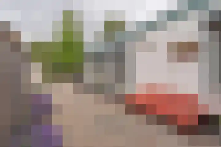Oostweg 68 Krabbendijke thumbnail 28