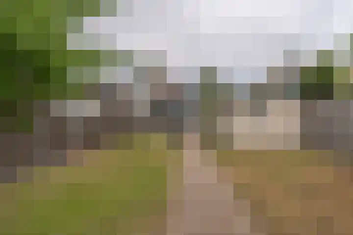 Oostweg 68 Krabbendijke thumbnail 33