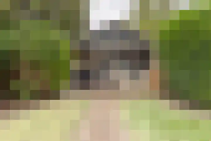 Oostweg 68 Krabbendijke thumbnail 34