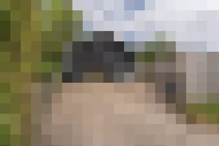 Oostweg 68 Krabbendijke thumbnail 36