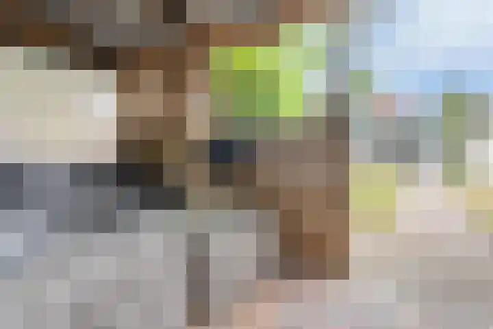 Oostweg 68 Krabbendijke thumbnail 5