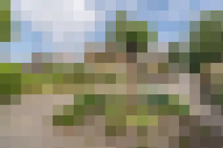Oostweg 68 Krabbendijke thumbnail 8
