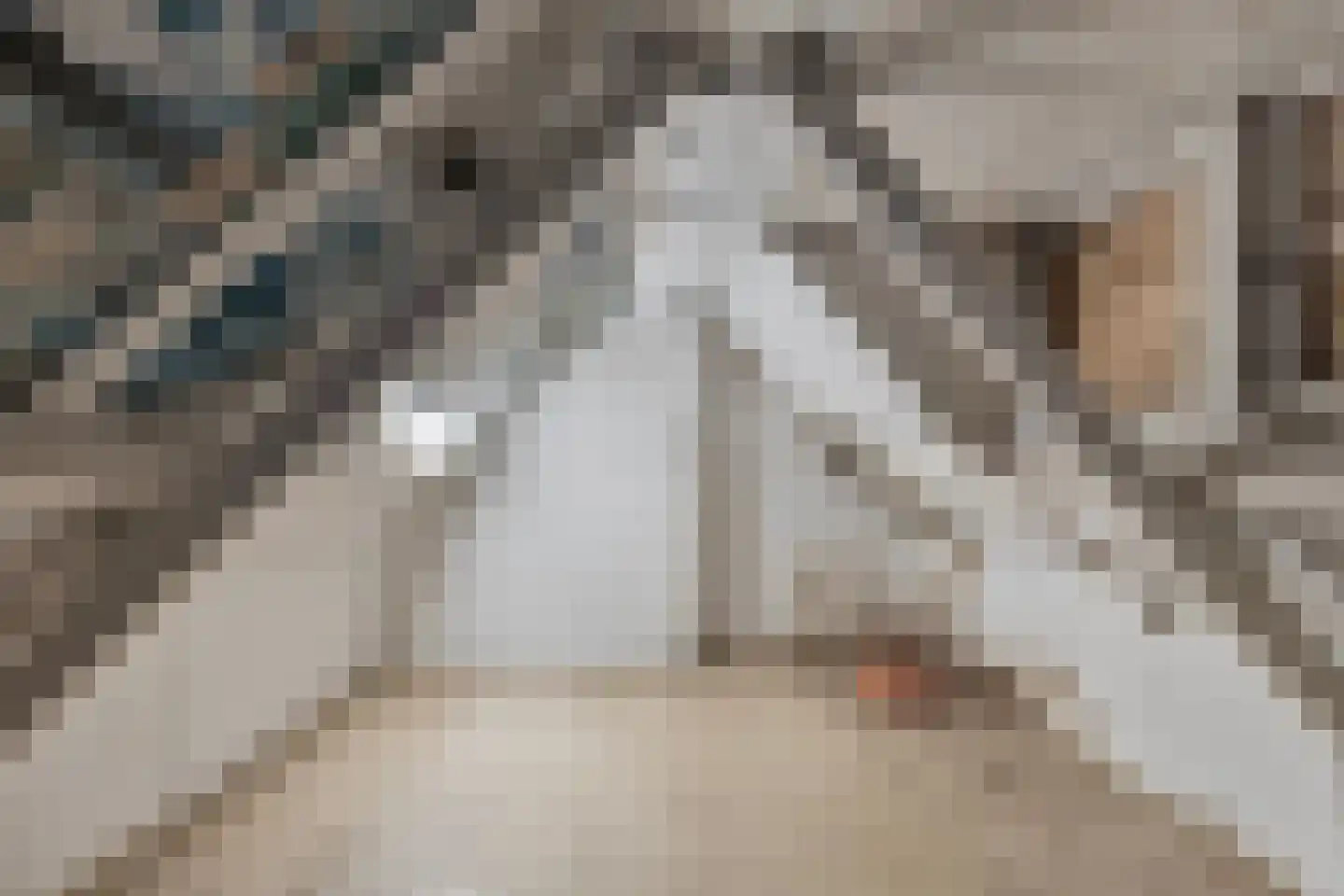 Oostweg 7 Biggekerke thumbnail 17