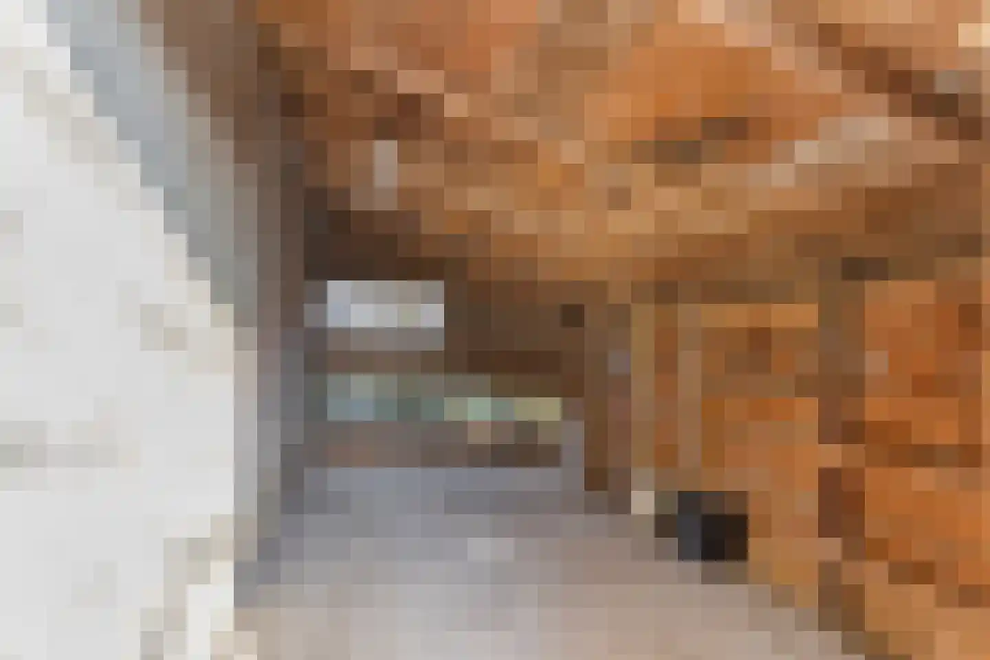 Oostweg 7 Biggekerke thumbnail 18