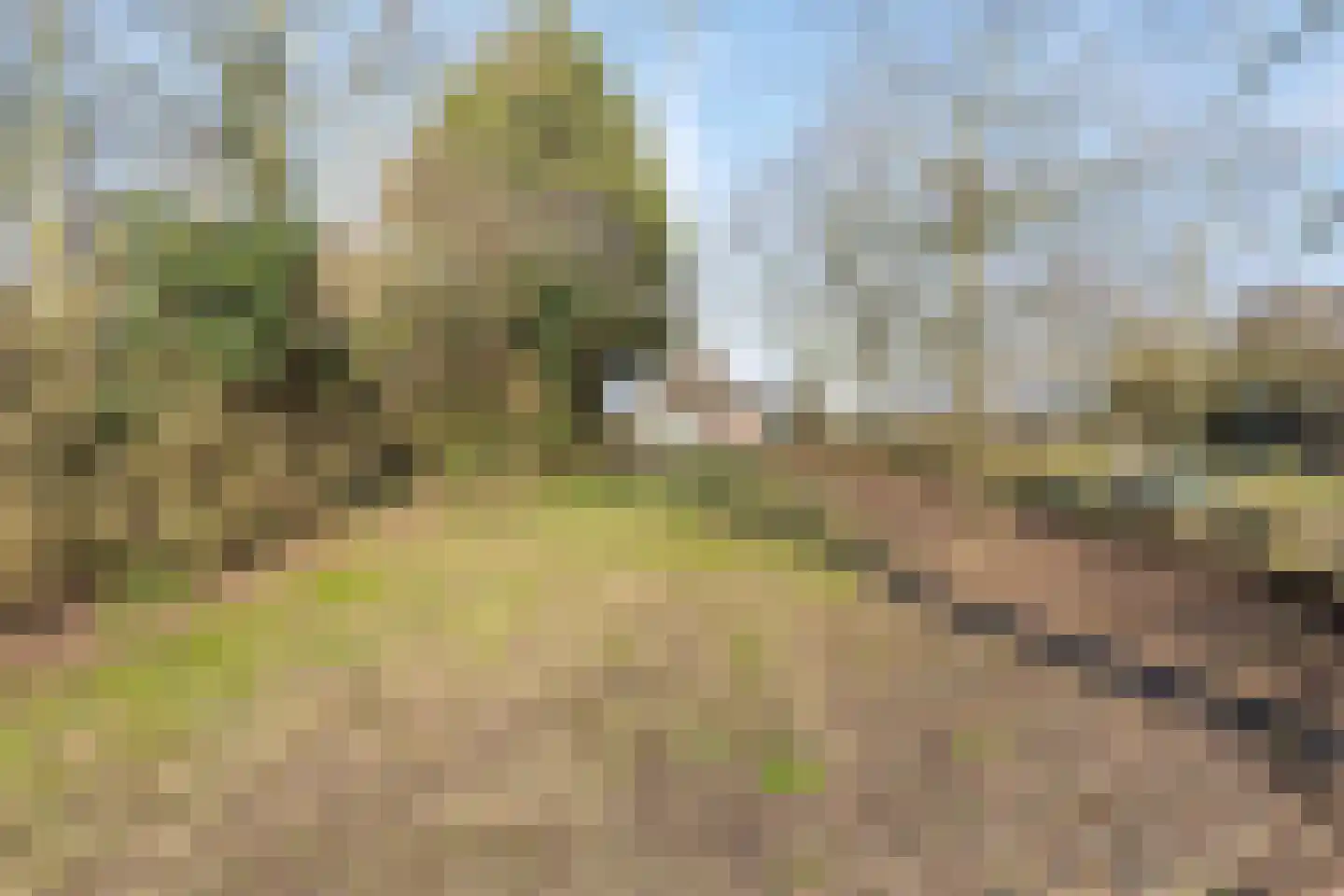 Oostweg 7 Biggekerke thumbnail 23