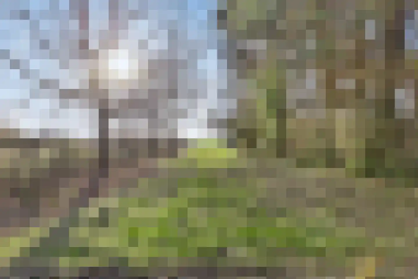 Oostweg 7 Biggekerke thumbnail 26