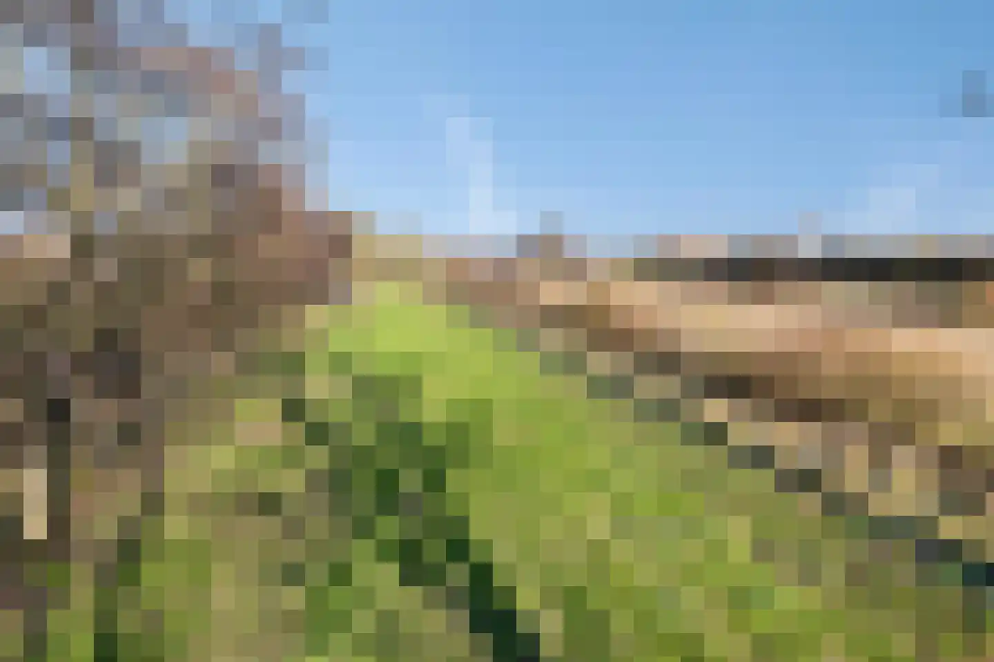 Oostweg 7 Biggekerke thumbnail 27