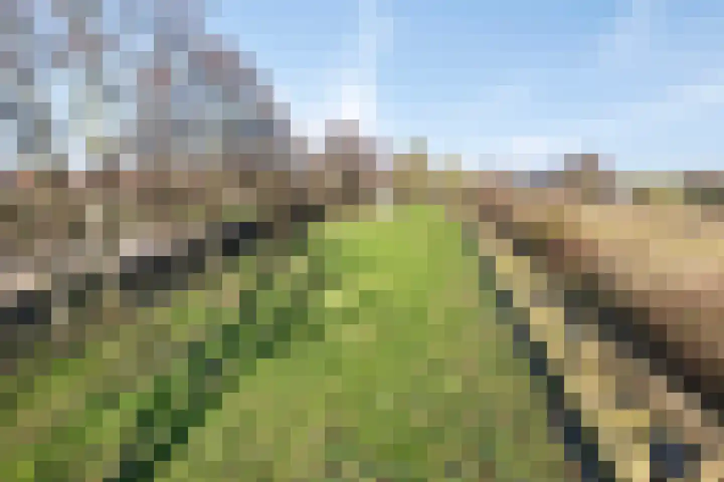 Oostweg 7 Biggekerke thumbnail 5