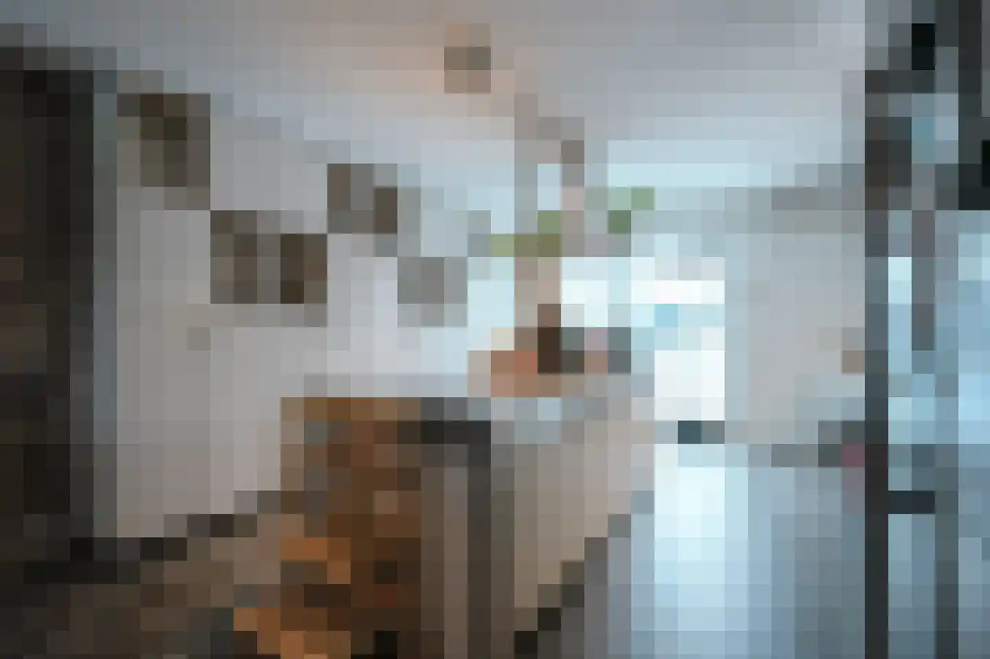 Oostwijk 1 Uden thumbnail 10