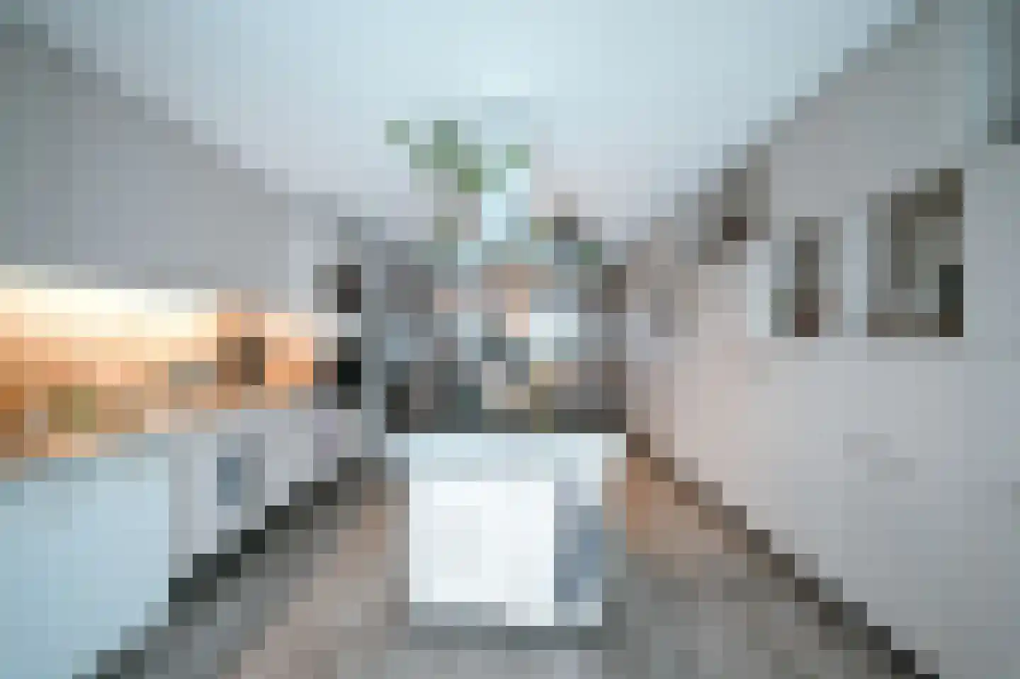 Oostwijk 1 Uden thumbnail 5