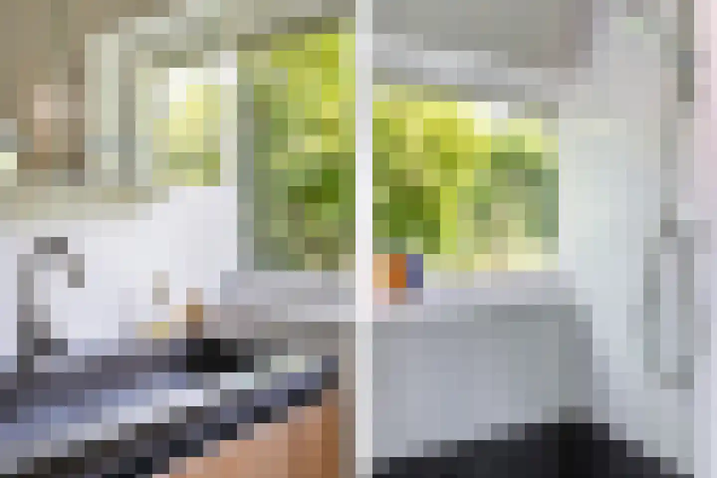 Oostwijk 13 Hollandscheveld thumbnail 15
