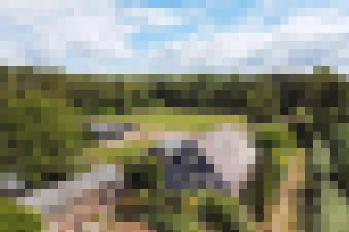 Oostwijk 13 Hollandscheveld thumbnail 16