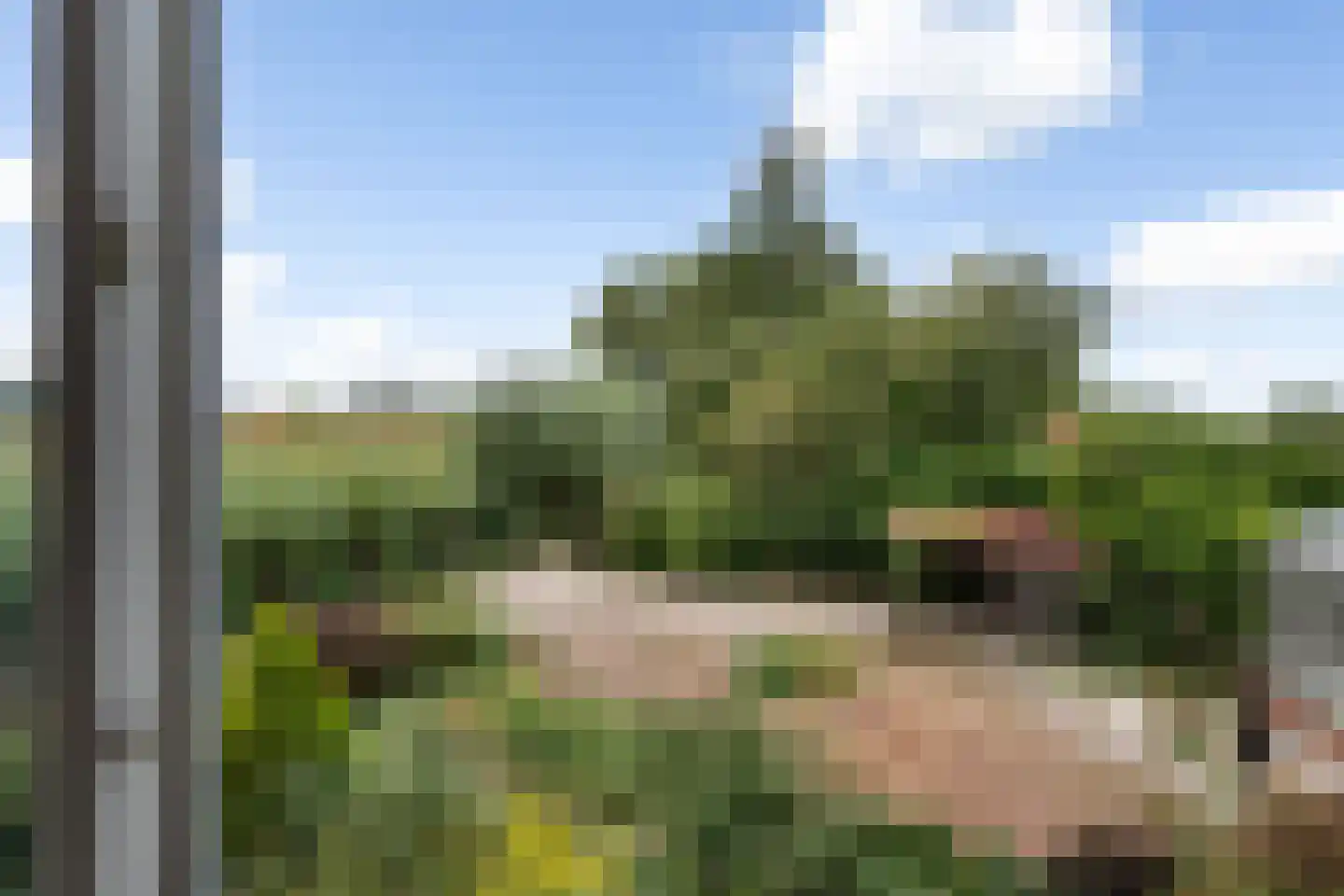 Oostwijk 13 Hollandscheveld thumbnail 21