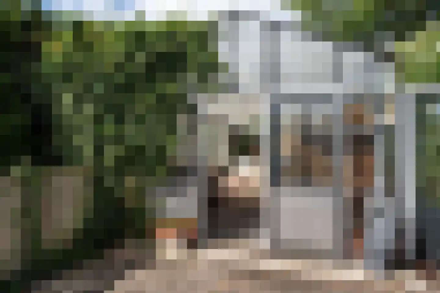 Oostwijk 13 Hollandscheveld thumbnail 22
