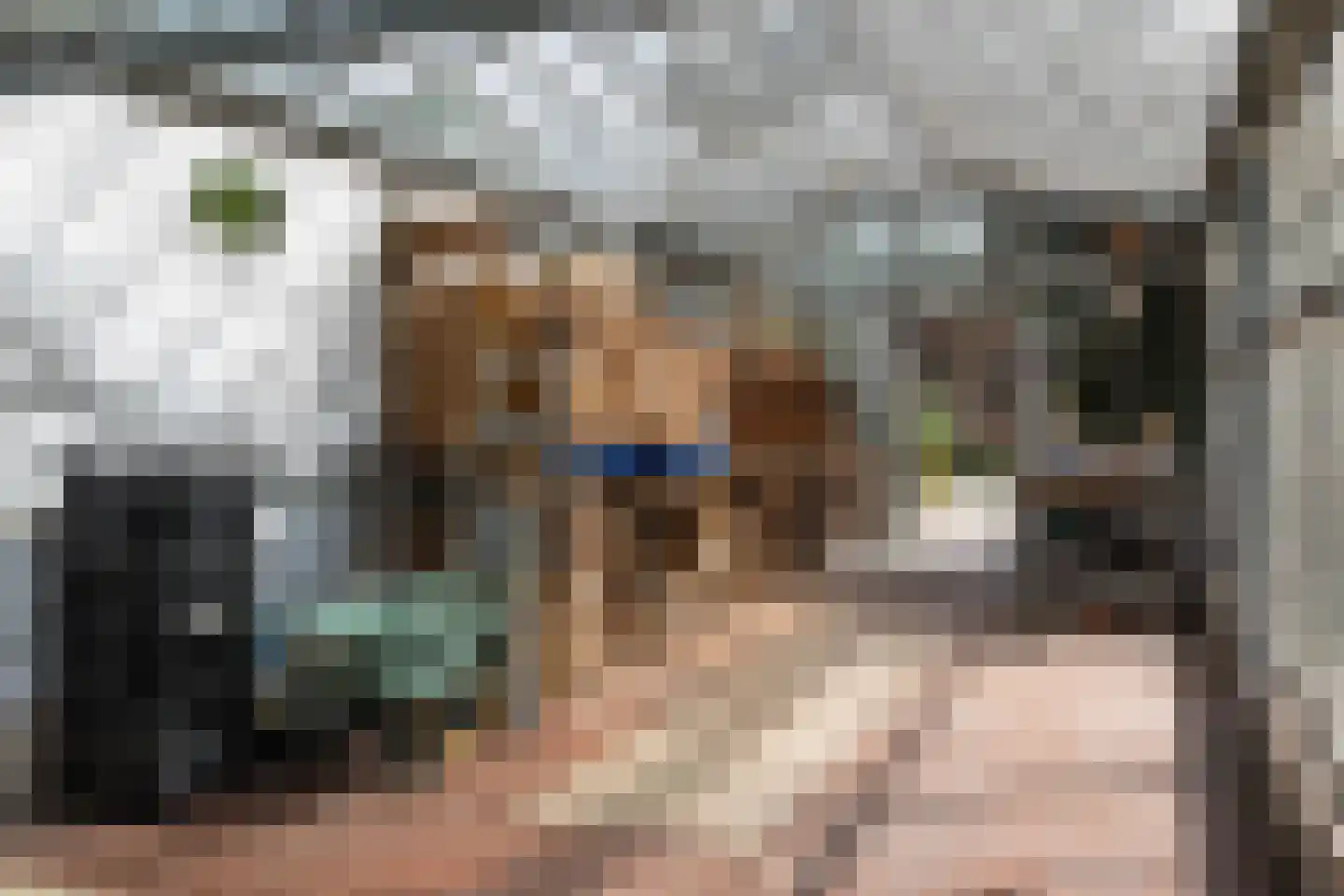 Oostwijk 13 Hollandscheveld thumbnail 23