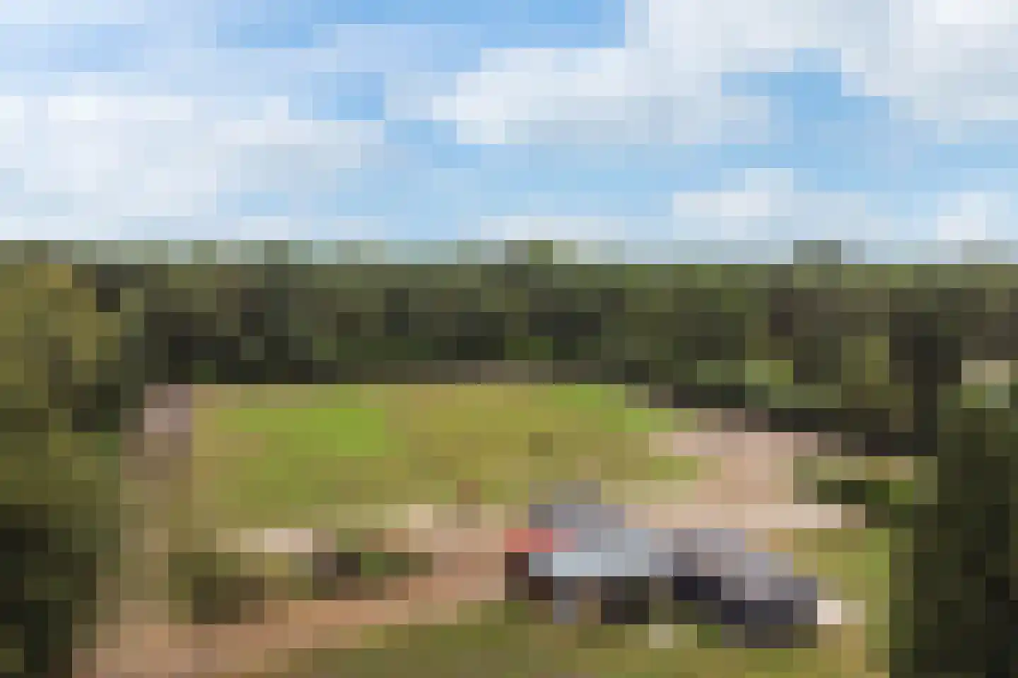 Oostwijk 13 Hollandscheveld thumbnail 24