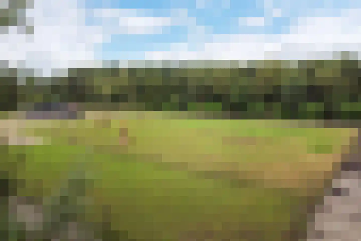 Oostwijk 13 Hollandscheveld thumbnail 25