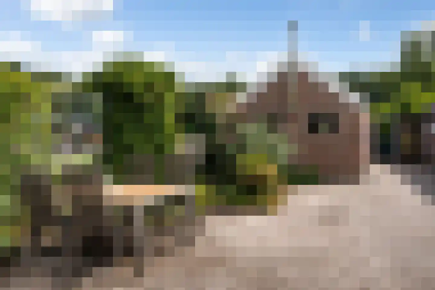 Oostwijk 13 Hollandscheveld thumbnail 26