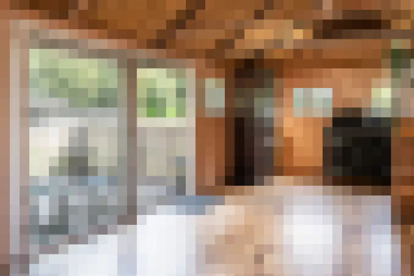 Oostwijk 13 Hollandscheveld thumbnail 28