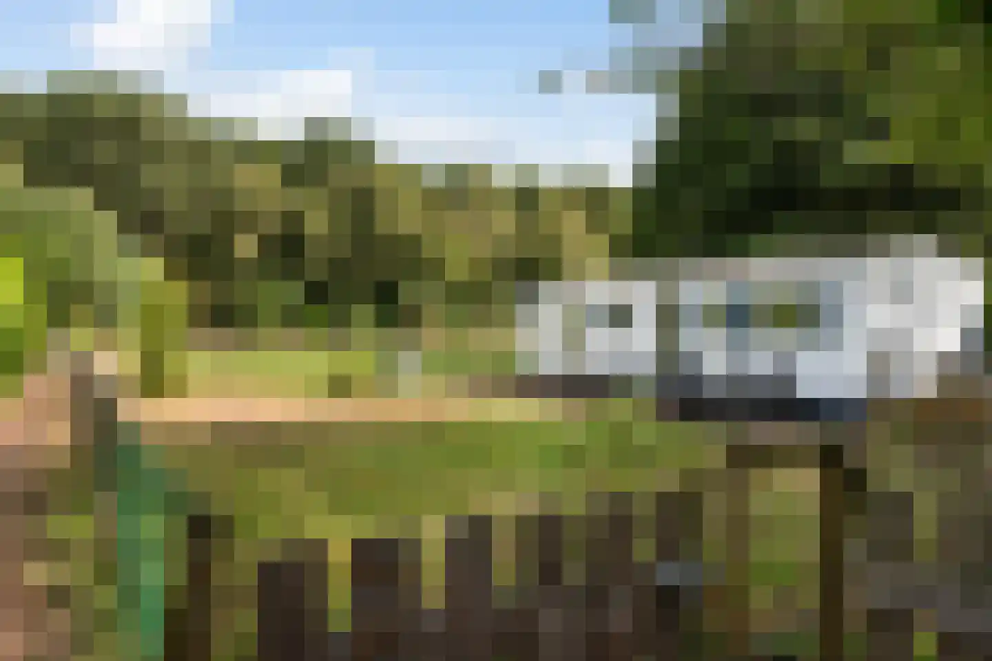 Oostwijk 13 Hollandscheveld thumbnail 31