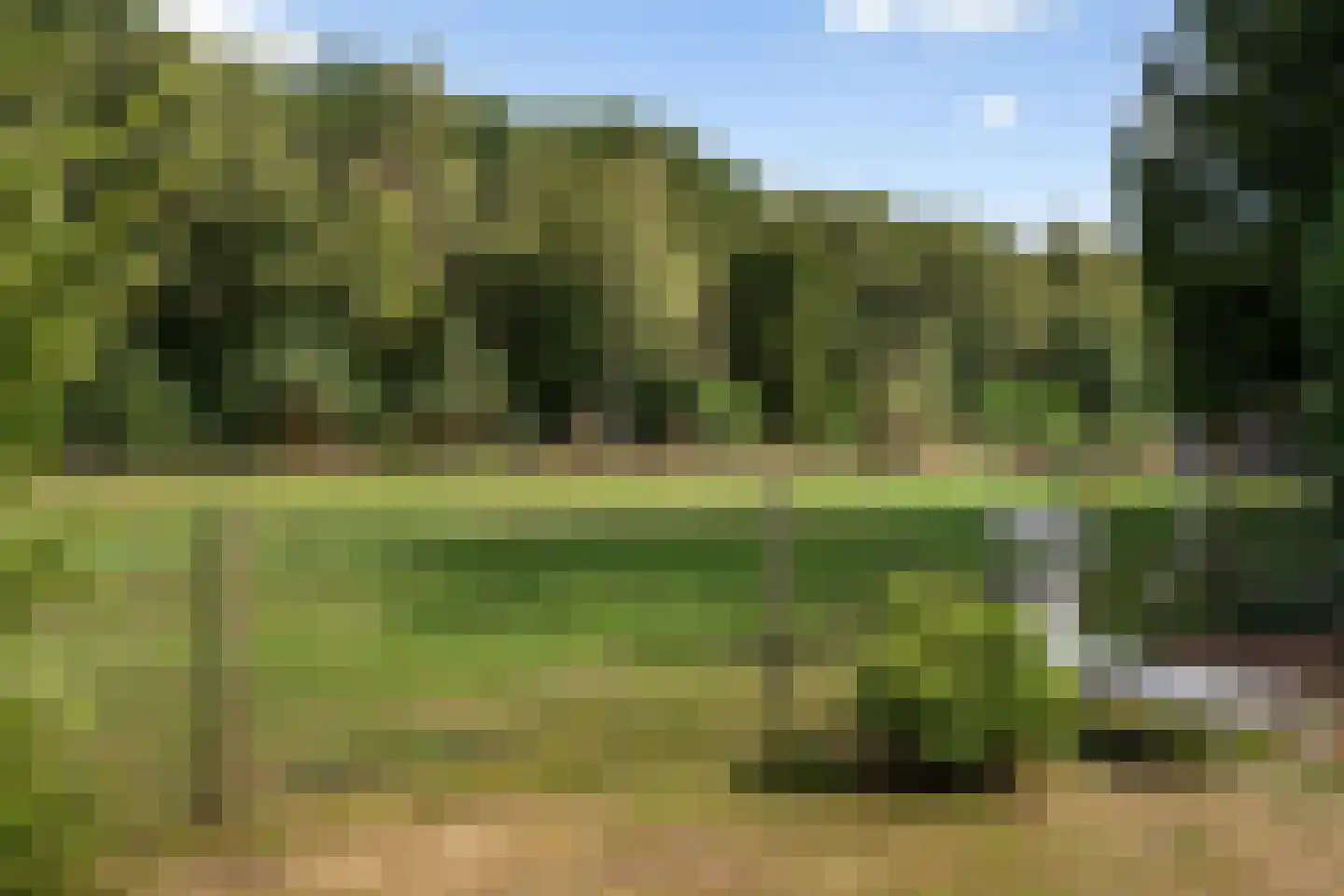 Oostwijk 13 Hollandscheveld thumbnail 32