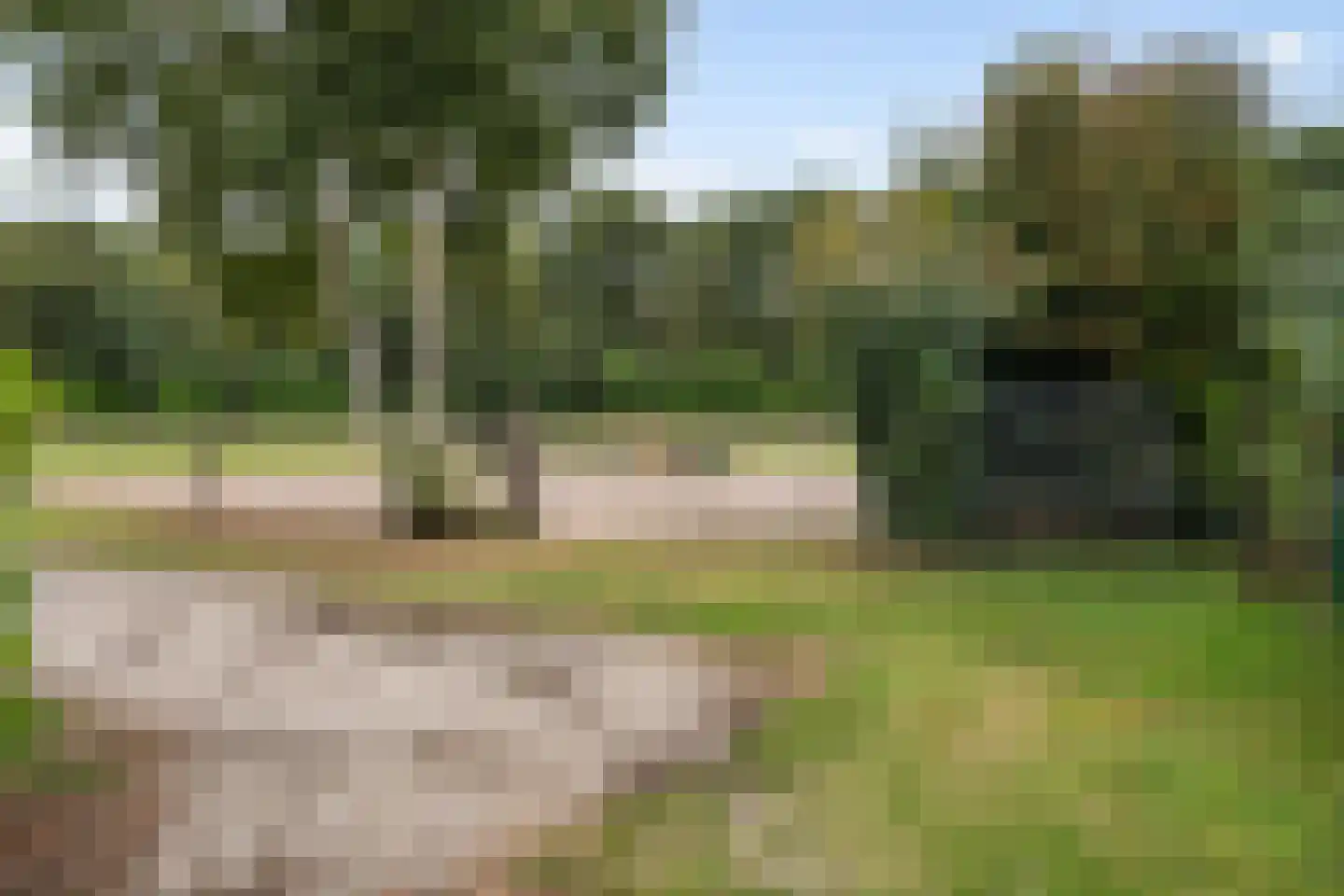 Oostwijk 13 Hollandscheveld thumbnail 36