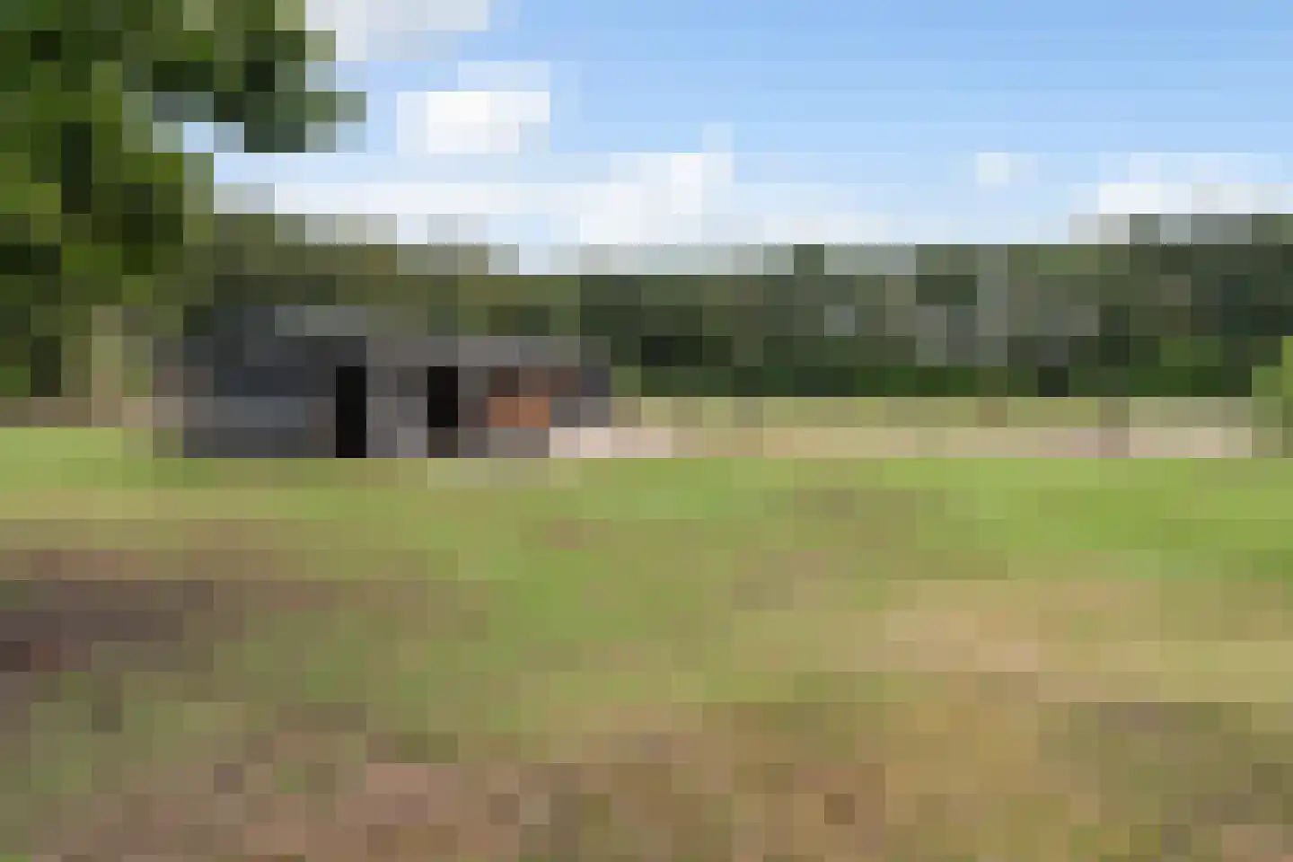 Oostwijk 13 Hollandscheveld thumbnail 38
