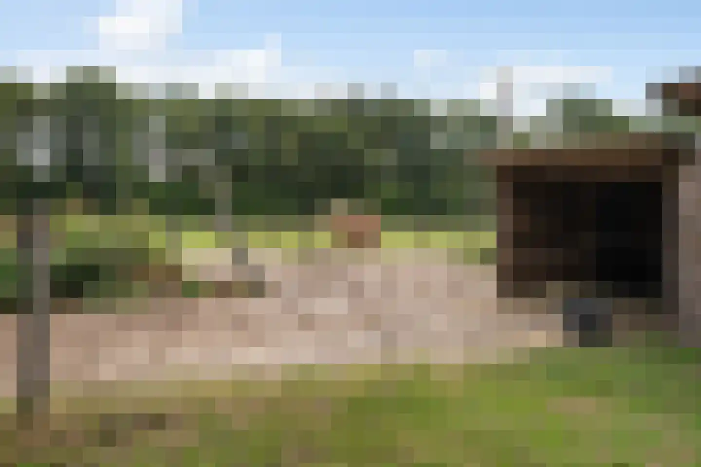 Oostwijk 13 Hollandscheveld thumbnail 41