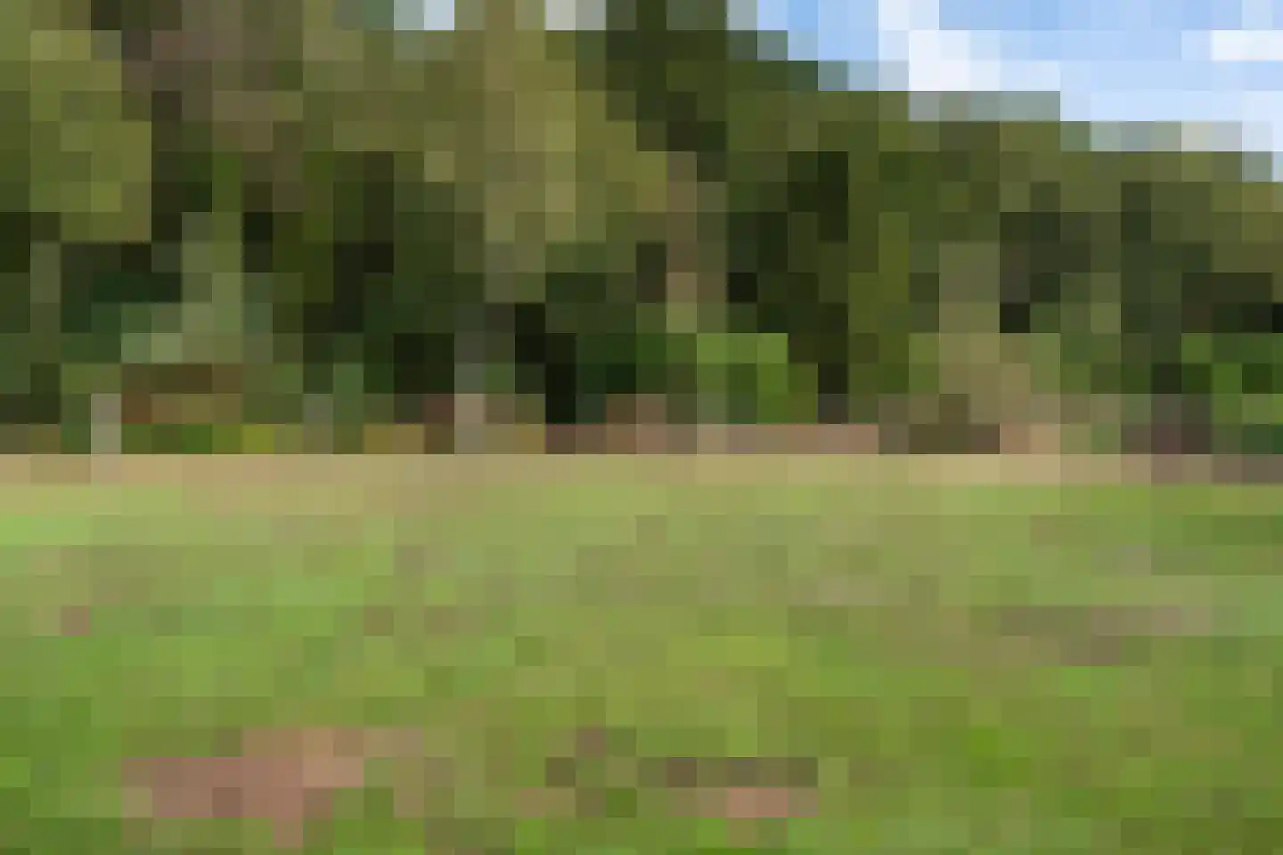 Oostwijk 13 Hollandscheveld thumbnail 42