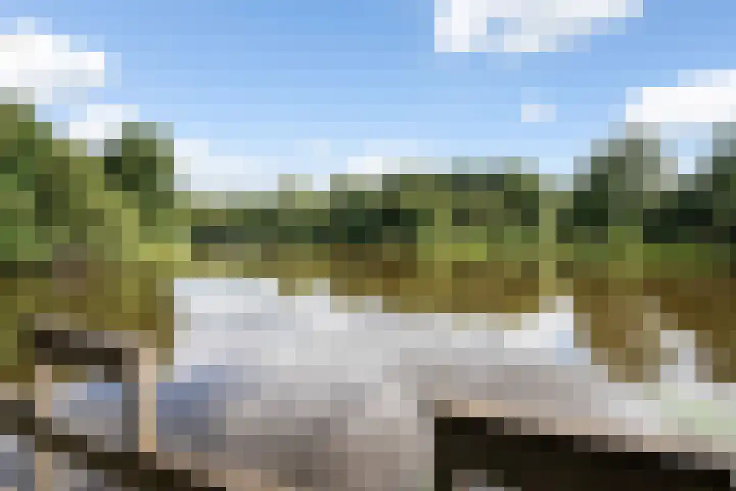 Oostwijk 13 Hollandscheveld thumbnail 45