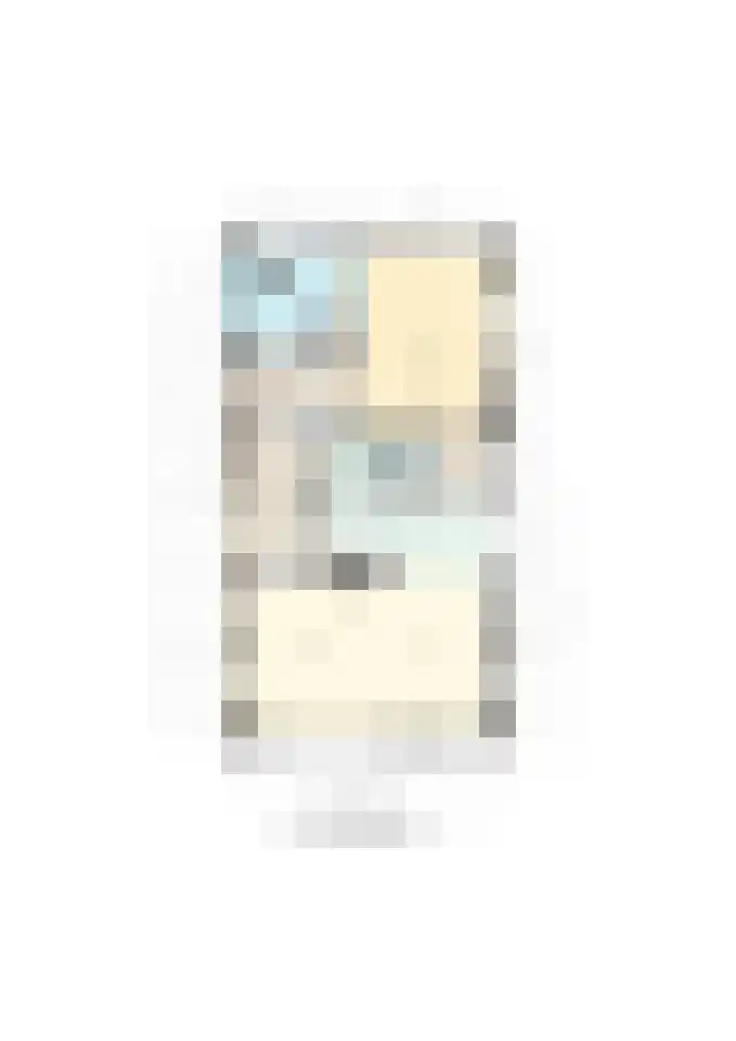 Oostwijk 13 Hollandscheveld thumbnail 46
