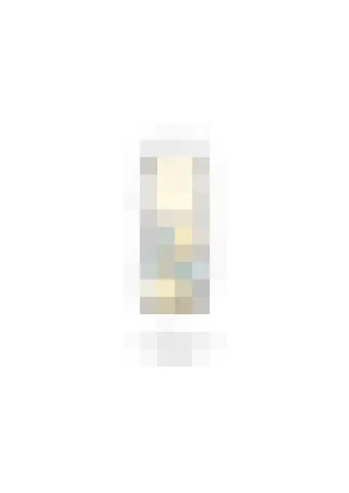 Oostwijk 13 Hollandscheveld thumbnail 49