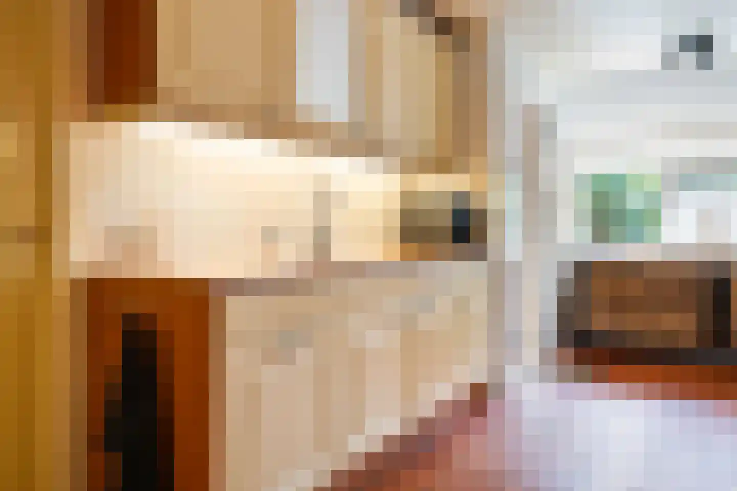 Oostwijk 13 Hollandscheveld thumbnail 8