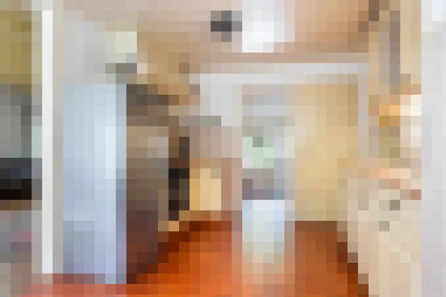 Oostwijk 13 Hollandscheveld thumbnail 9