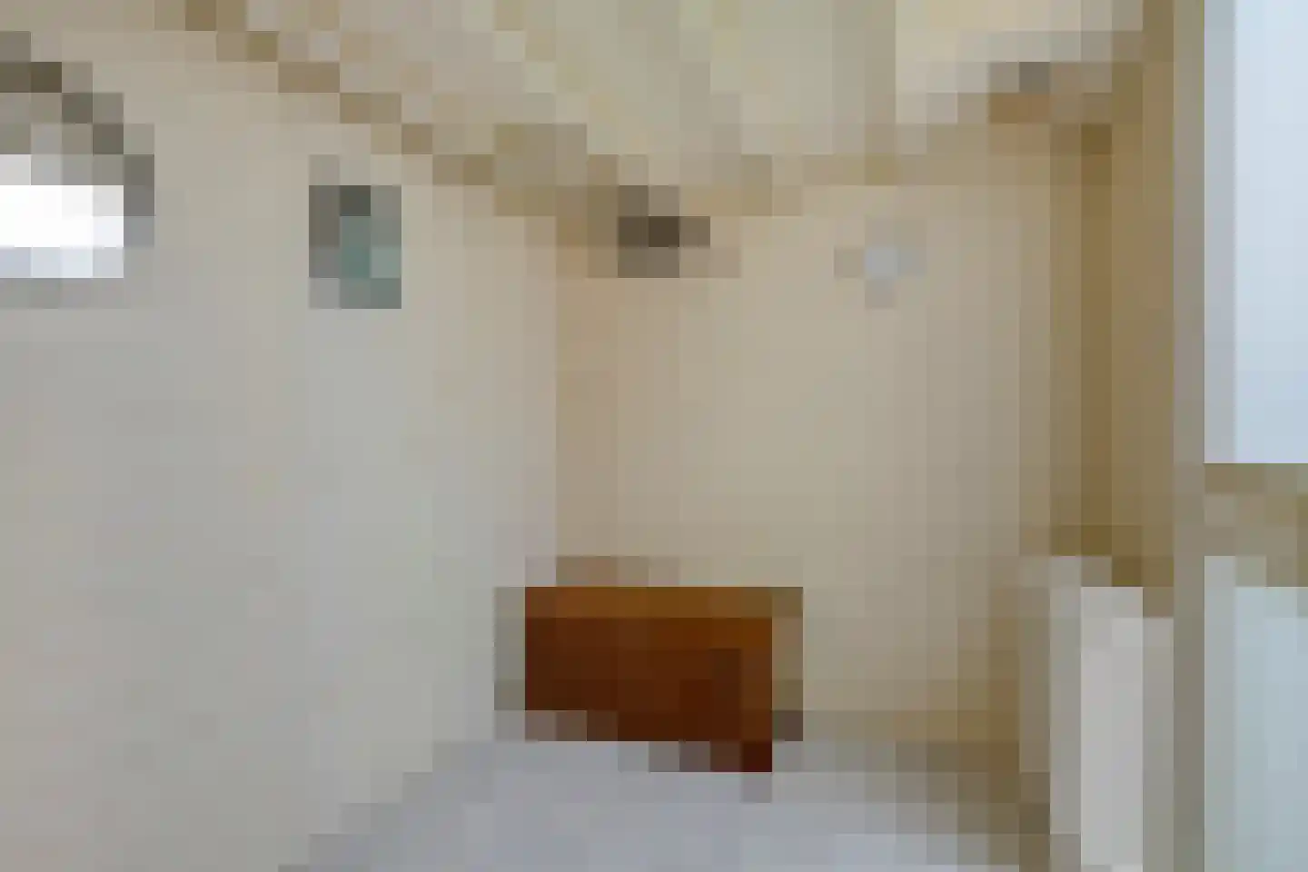 Oostwijk 25 Linschoten thumbnail 6