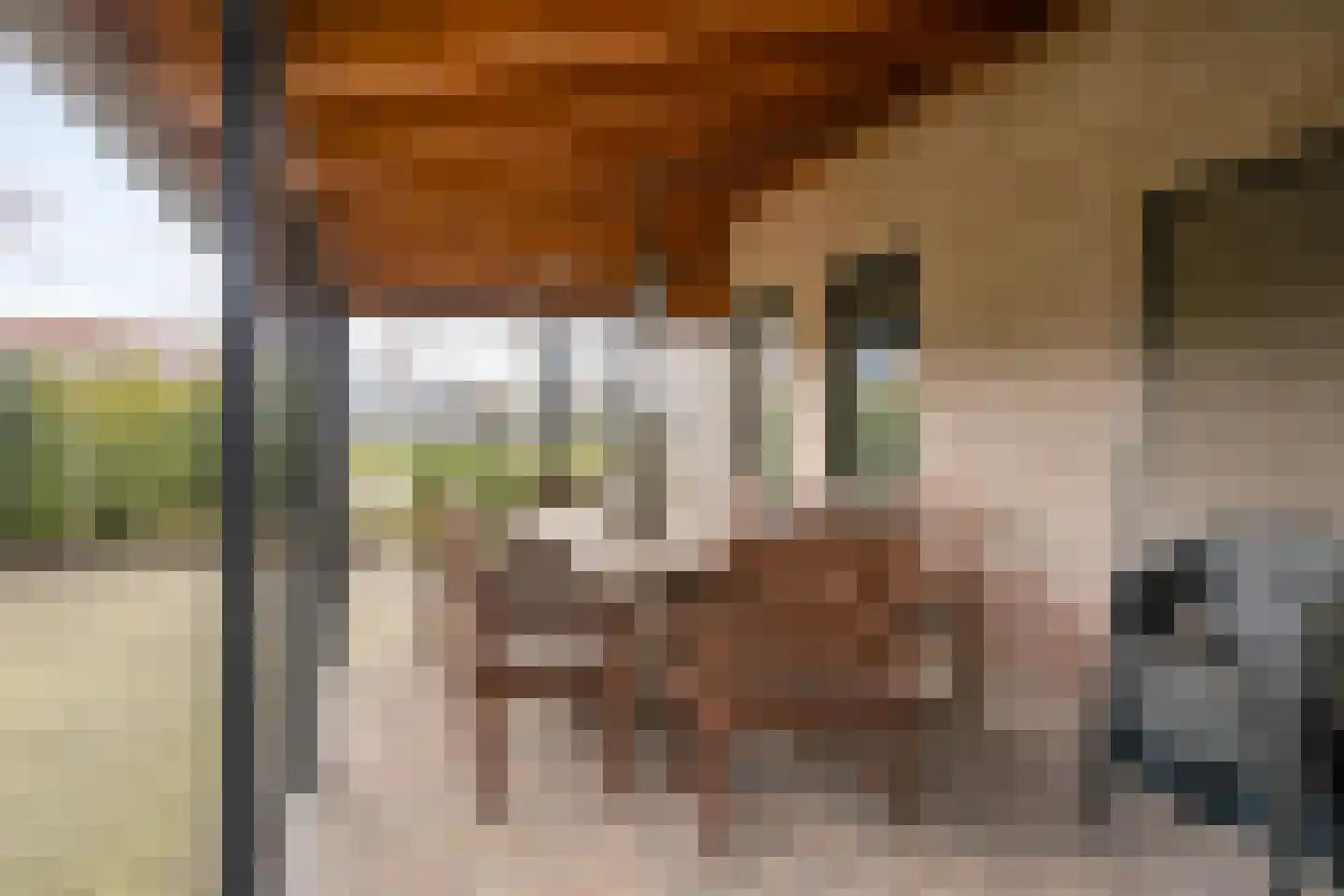 Oostwijk 29 Uden thumbnail 34
