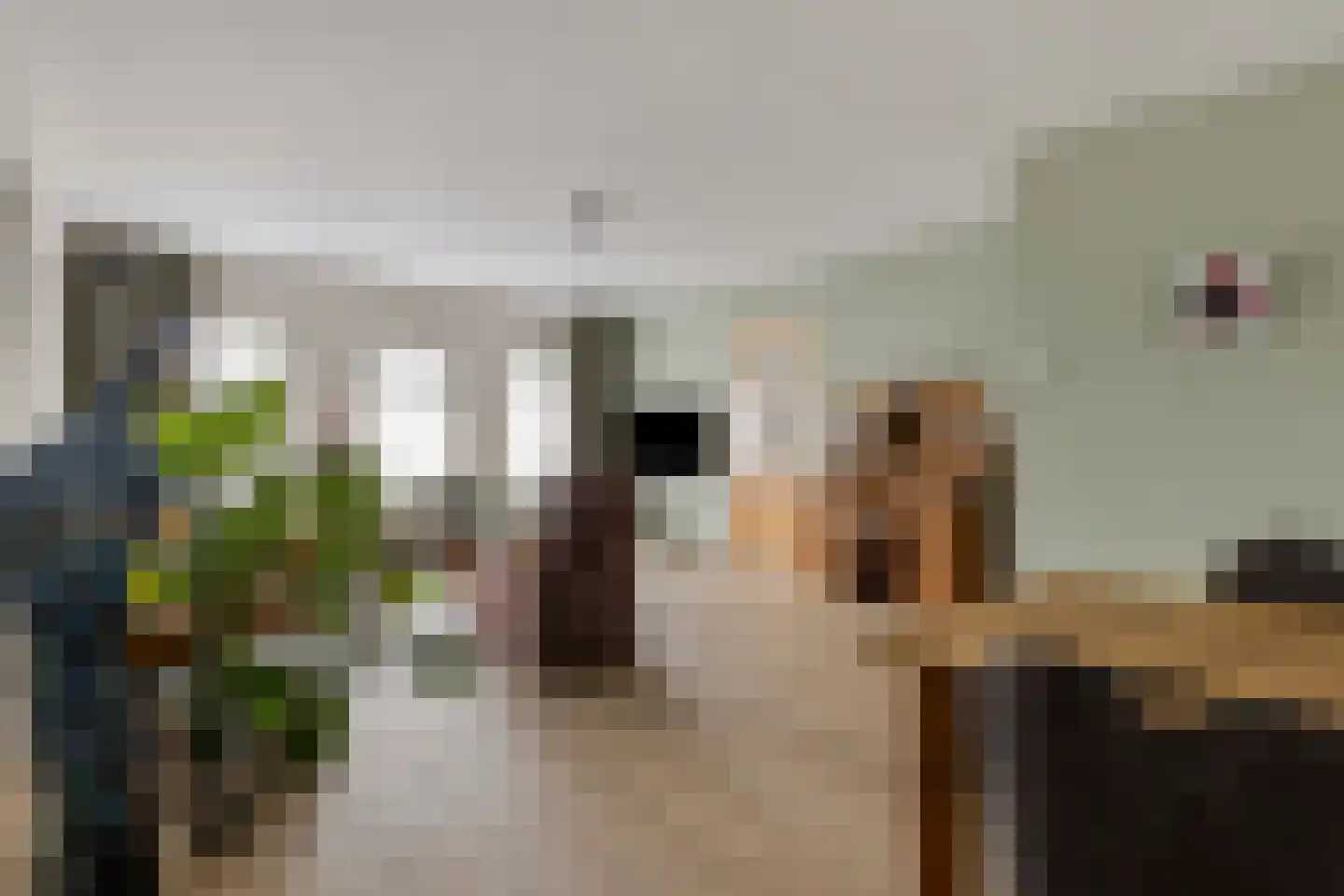 Oostwijk 29 Uden thumbnail 4
