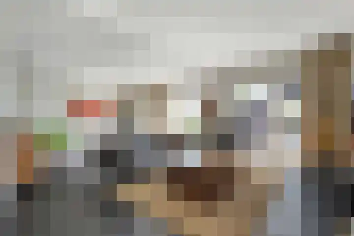 Oostwijk 3 Dedemsvaart thumbnail 11