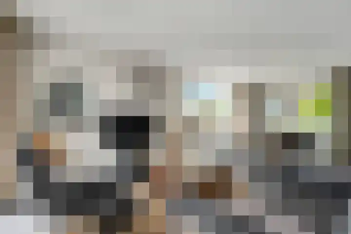 Oostwijk 3 Dedemsvaart thumbnail 12