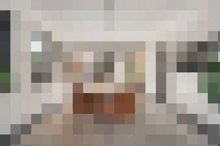 Oostwijk 3 Dedemsvaart thumbnail 17