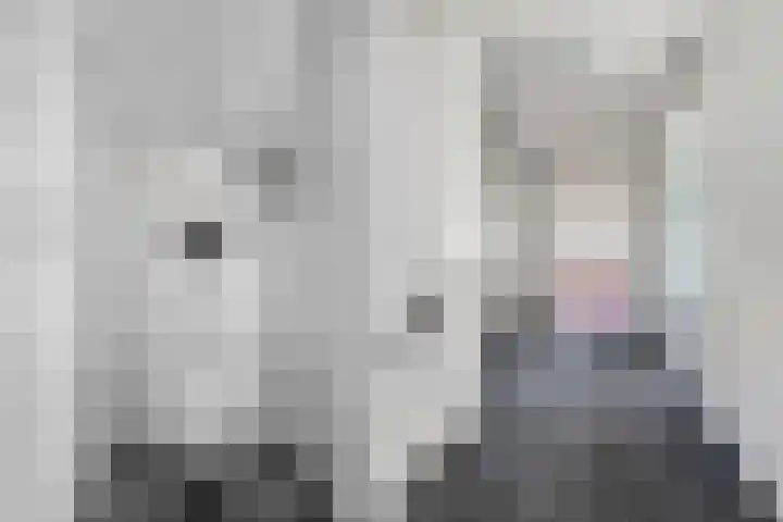 Oostwijk 3 Dedemsvaart thumbnail 24